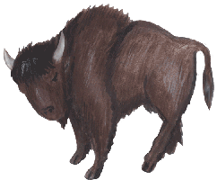 Bison 1, kostenloses Bild, Gif Clipart